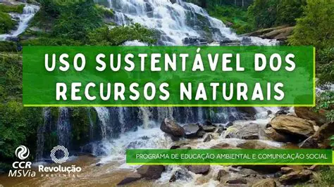 A Coleta de Recursos Naturais