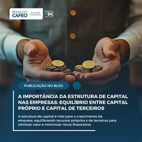 A Empresa e sua Estrutura de Capital