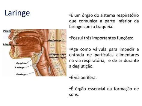 A Falha na Laringe e os Problemas que Seguem