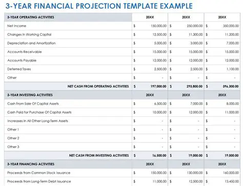 A Financial Plan of Projected Revenues and Expenses