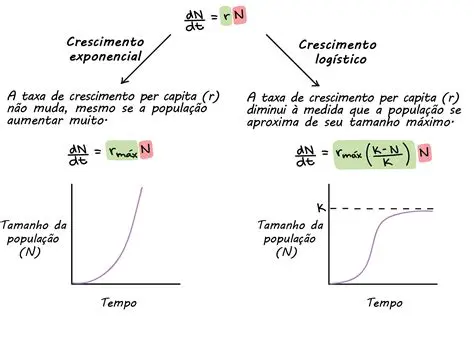 A Lei de Crescimento Exponencial