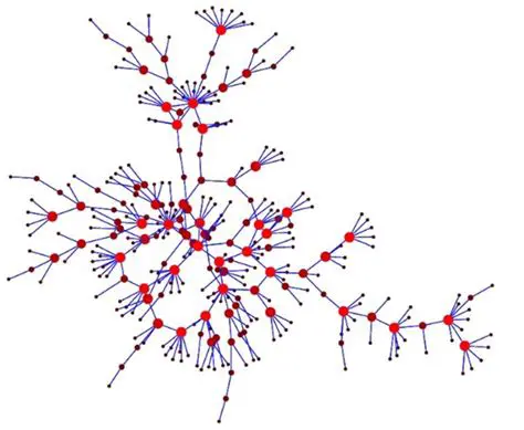 A Rede Complexa e Interconectada