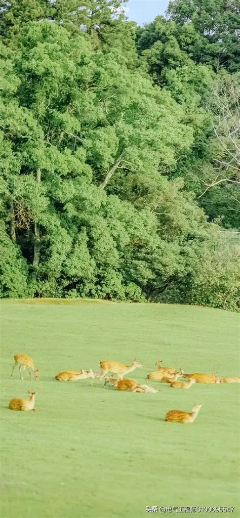 A set of beautiful wallpapers