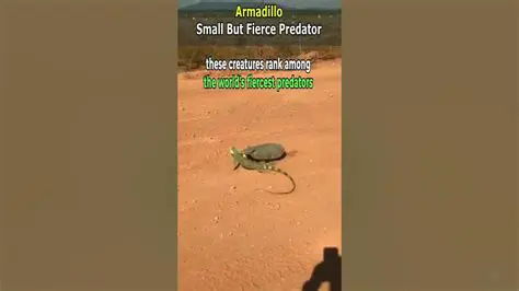 A Small but Fierce Predator
