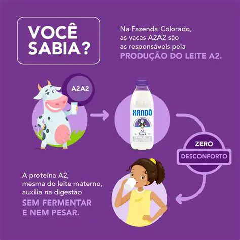 A2 Leite: Desvendando o Segredo da Digestão Fácil e Seus Benefícios para a Saúde