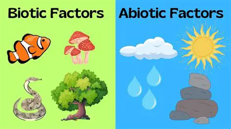 Abiotic Factors and Their Impact on Fish