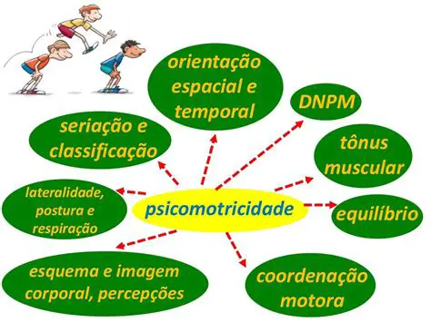 Abordagens e Teorias da Psicomotricidade