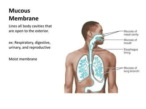 Absorption through Mucous Membranes
