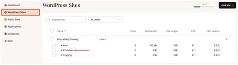 Access the Staging Environment