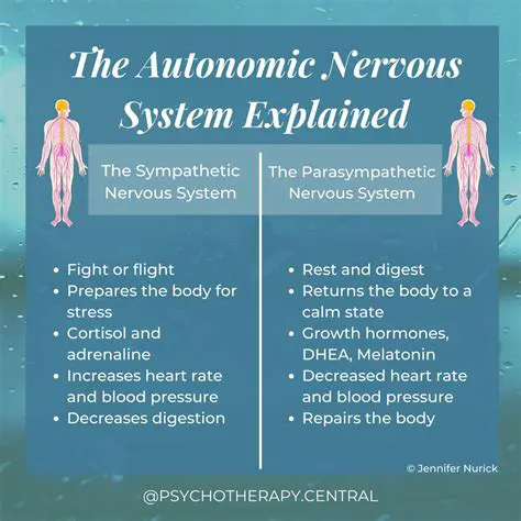 Actions Controlled by the Autonomic Nervous System