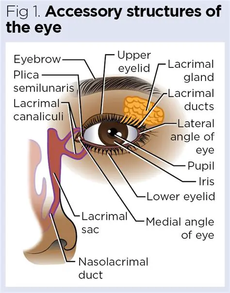 Additional Visual Structures