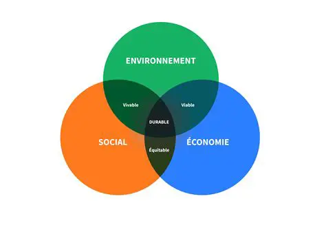 L'Administrateur de l'État : Pilier Essentiel de la Gouvernance Publique Française