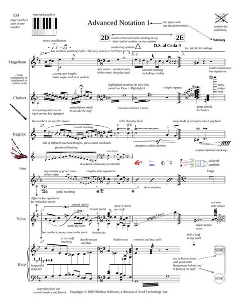 Advanced Notation Capabilities