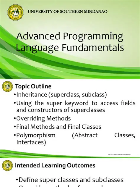 Advanced programming language support