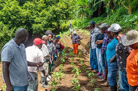 Agricultural Extension Services