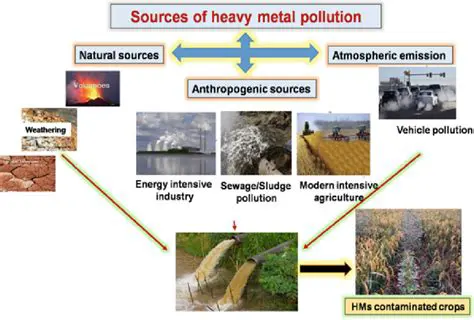 Air Quality Assessment and Heavy Metal Pollution