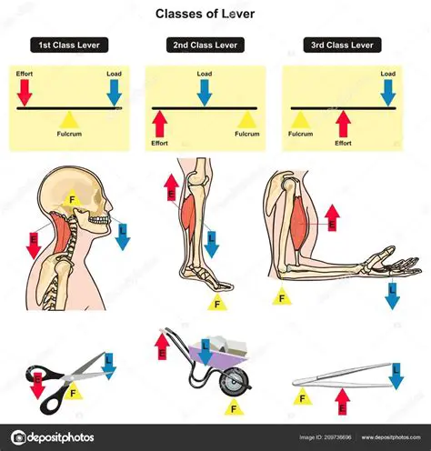 Alavancas de Segunda Classe