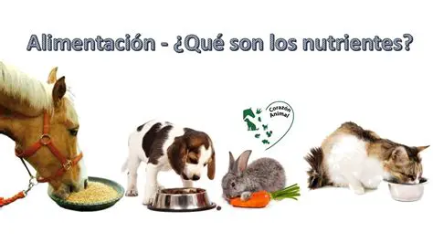 Alimento para otros organismos