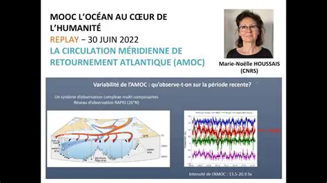Tout Savoir sur l'AMOC : Le Courant de Retournement Méridien de l'Atlantique