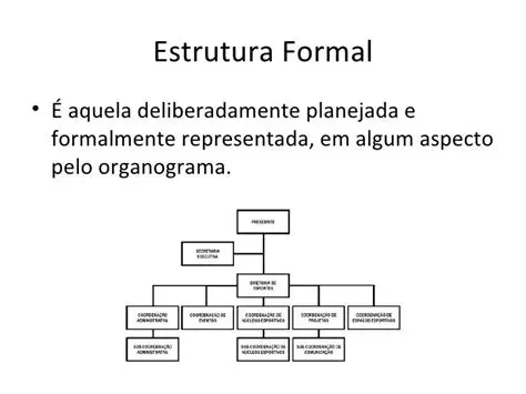 Analisar a Estrutura Organizacional
