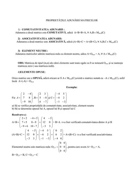 Analiza conceptelor matematice