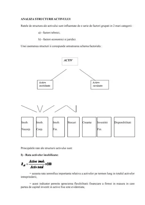 Analiza Structurii Gramaticale