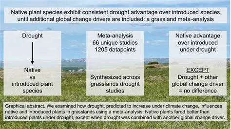 Analysis and Advantage of Plant Species