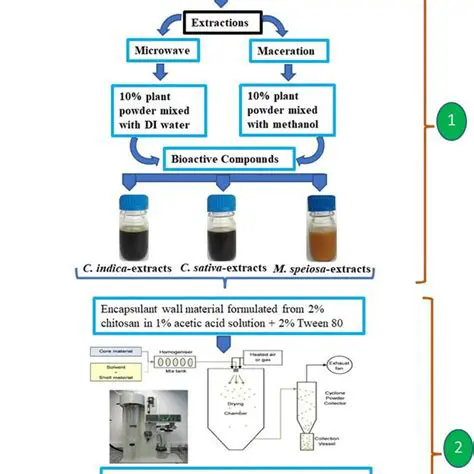 Analysis of Active Compound Content