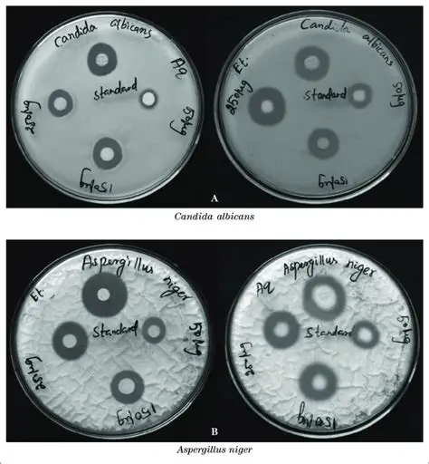 Analysis of Fungal Growth Inhibition