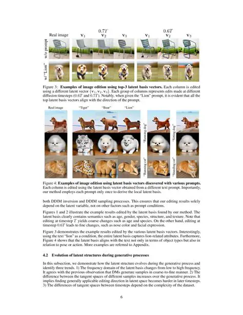 Analysis of Geometry Understanding through Dynamic Models