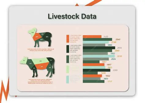Analysis of Livestock Numbers