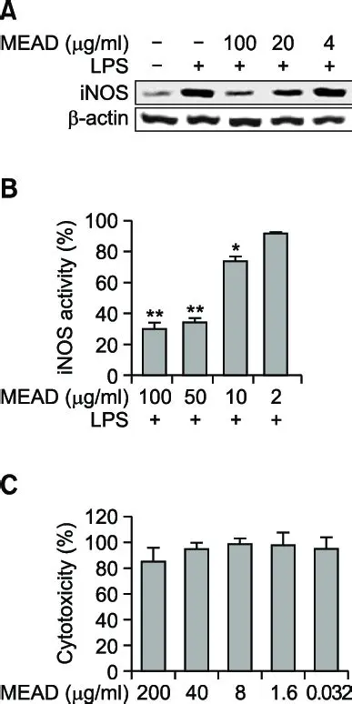 Analysis of Mead Application