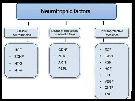 Analysis of Nerve Growth Factor Levels in Serum Psoriasis Vulgaris