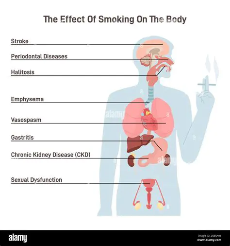 Analysis of the Effect of Cigarette Smoke