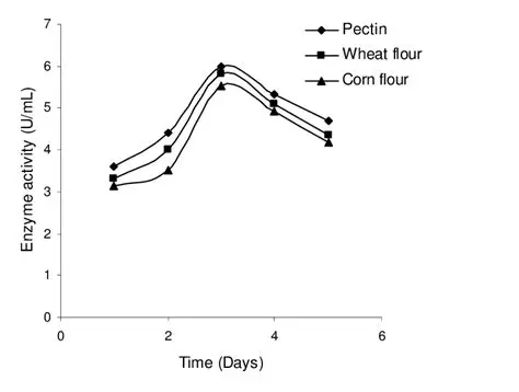Analysis of the Effect of Time and Pressure