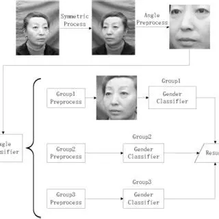 Analysis of the Gender Classification Process