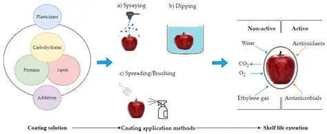 Analysis of the Impact of Edible Coating Coating