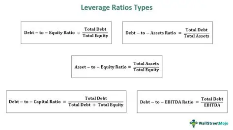 Analysis of the Leverage Ratio