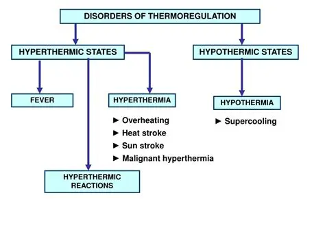 Analysis of Thermoregulation Problems