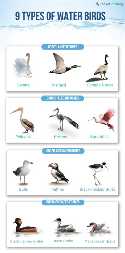 Analysis of Water Bird Diversity
