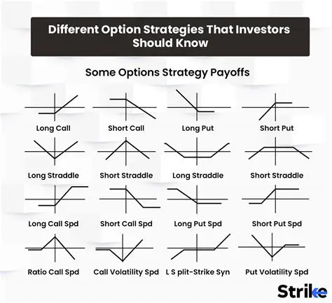 Analyze stock and options strategies