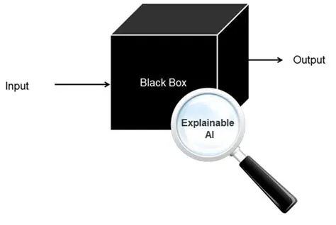 Analyzing the Black Box System