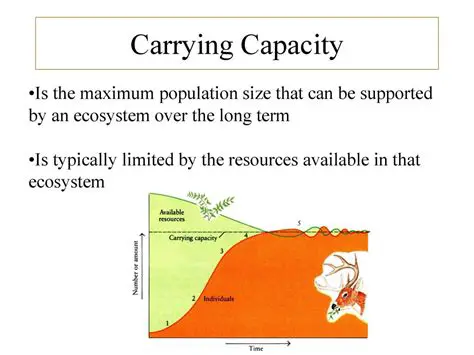 Analyzing the carrying capacity of Reusam Island