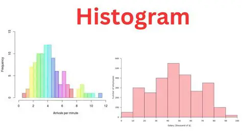 Analyzing the Given Histogram
