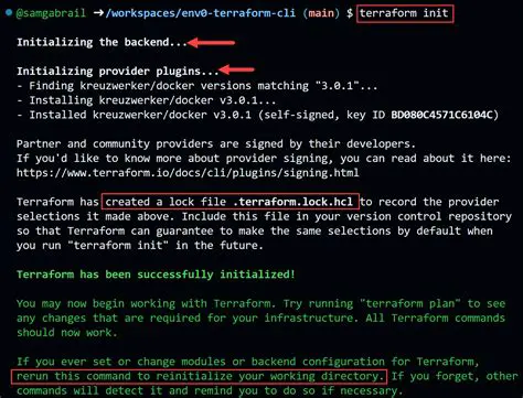 Analyzing the Terraform License File