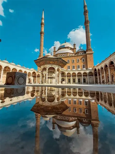 أنس صلاح الدين: قصة نجاح ملهمة في عالم ريادة الأعمال والتكنولوجيا