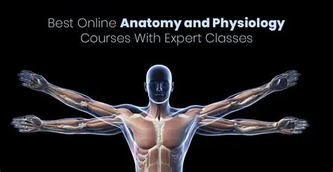 Anatomy and Physiology Online Course