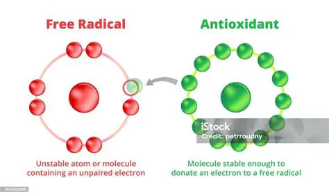Antioxidants and Free Radicals