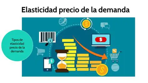 Aplicaciones de la Elasticidad de Precio