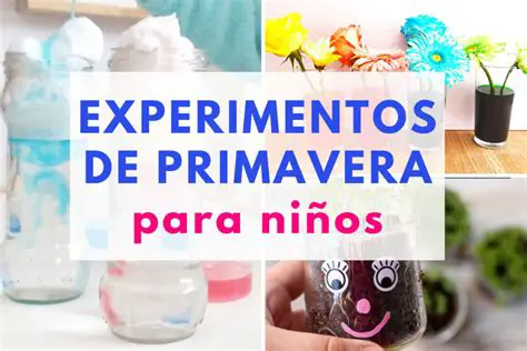 Aplicaciones del Experimento